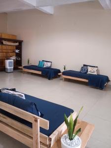 een kamer met 2 bedden en een potplant bij Canto do Atlântico in Ilha Comprida