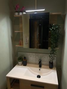 Et badeværelse på La Jungle Room