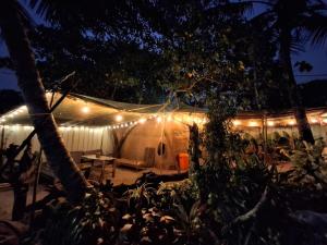 een tent met 's nachts verlichting bij Sadhana on the beach in Alleppey