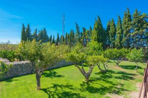 A garden outside Sa Vinya Des Compte