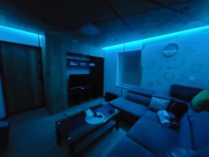 a blue room with a couch and a table at Rose in Bielawa
