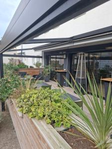 een groep planten voor een gebouw bij Villa Raphaëlle #3 Centre ville avec parking in Le Havre