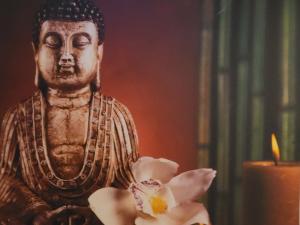 Eine Statue mit einer Blume neben einer Kerze in der Unterkunft À la campagne, studio 25m2-pour 2 au calme, wifi, jardin, parking in Yèvres