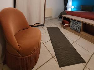 ein Wohnzimmer mit einem braunen Stuhl und einem Teppich in der Unterkunft À la campagne, studio 25m2-pour 2 au calme, wifi, jardin, parking in Yèvres