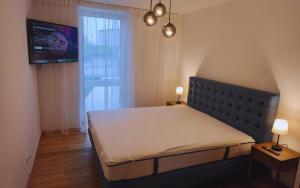 een slaapkamer met een bed en een tv aan de muur bij Apartments Kellergasse in Purbach am Neusiedlersee