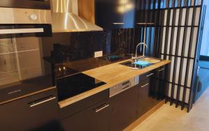 een keuken met een aanrecht en een wastafel bij Apartments Kellergasse in Purbach am Neusiedlersee