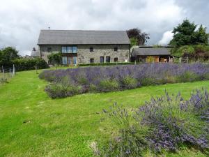 a stone house with a field and purple flowers at Willey Lane Farm in Lingen