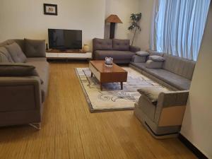 亚的斯亚贝巴4 bedrooms Duplex Apartment at Bole的带沙发和咖啡桌的客厅