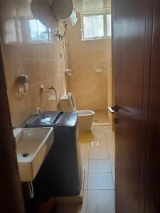 亚的斯亚贝巴4 bedrooms Duplex Apartment at Bole的带水槽和马桶的浴室