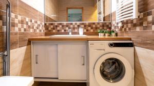 un bagno con lavatrice e lavandino di Comfort 14 Stylish City Apartment a Miskolc