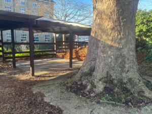 een boom die naast een picknickhut staat bij Canal Side Retreat in Heybridge
