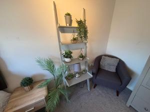 a room with a shelf with potted plants and a chair at Canal Side Retreat in Maldon