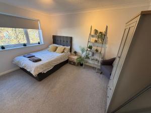 a bedroom with a bed and a window at Canal Side Retreat in Maldon