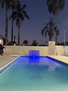 a large blue swimming pool with palm trees in the background at Chácara Ana Clara in Cotia