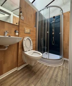 een badkamer met een toilet, een wastafel en een douche bij Apartment Pottery - Park view in Thun