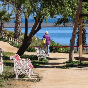 Naturlandskabet i nærheden af bed and breakfast-stedet + 11 billeder