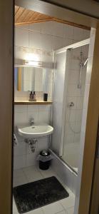 a small bathroom with a sink and a shower at Central Apartment in Radstadt +15 photos