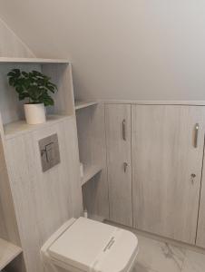 une salle de bain avec toilettes et une plante en pot dans l'établissement Letnisko, à Lubawka 58 autres photos
