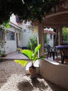 een plant in een pot op een patio bij Résidence Diamane Sokone in Sokone +6 foto's