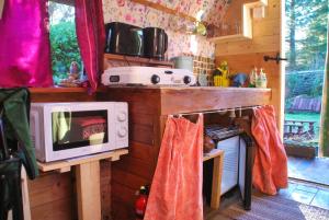 a kitchen with a stove and a microwave on a counter at The Wonderly Wagon in Fintown
