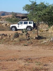 Naturlandskabet i nærheden af campingpladsen