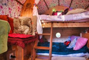 a room with two bunk beds and a cat sitting on a pillow at The Wonderly Wagon in Fintown
