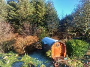 an old trailer sitting in the middle of a forest at The Wonderly Wagon in Fintown +18 photos