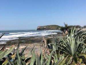 a view of a beach with plants and the ocean at Residencial Da Cal in Torres