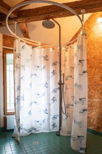 a shower in a bathroom with curtains with birds on it at Gîte insolite in Nuits-Saint-Georges