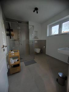 SeeZeitApartments Whg 30 في ليمبروتش: حمام مع دش ومرحاض ومغسلة
