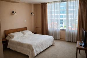 una camera da letto con un letto e una grande finestra di Hotel de Viña a Viña del Mar