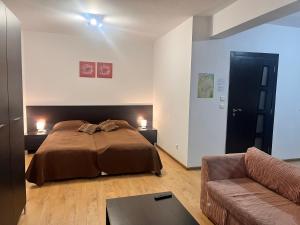 ein Schlafzimmer mit einem Bett und einer Couch in der Unterkunft St. Anastasia Apartments in Bansko