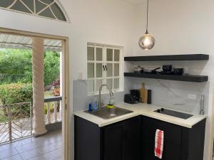 een keuken met een spoelbak en een aanrechtblad bij Still Point Guesthouse in Crown Point