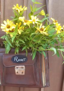 een pot met gele bloemen bovenop een koffer bij Reset perché no in Grantola