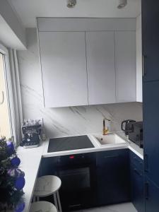 Køkken eller tekøkken på Blue Royal Luxury Apartment z HBO Max