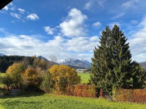 two trees in a field with mountains in the background at Sissy Appartment in Kössen