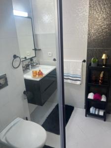 a bathroom with a toilet and a sink and a shower at Apartment in the center of Casablanca opposite the tram in Casablanca