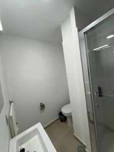 a bathroom with a shower and a toilet at La posada del sur in San Bartolomé de Tirajana +1 photo