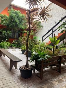 ein Innenhof mit Bänken, Topfpflanzen und Bäumen in der Unterkunft Pousada das Gaivotas in Bombinhas