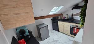 een kleine keuken met een spoelbak en een fornuis bij Cozy Loft sous les toits in Le Kremlin-Bicêtre +7 foto's