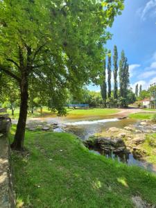 a tree in a park next to a river at Cabañas La Carlota in Trapiche