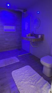 un bagno viola con un water e un lavandino di Suite completa com área verde a Camaçari