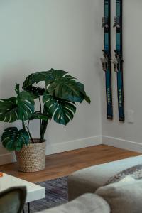 Billede fra billedgalleriet på Central City Queenstown Retreat - 3 Bedroom Apartment i Queenstown + 23 billeder