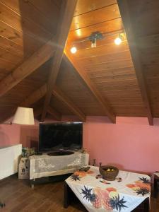 TV a/nebo společenská místnost v ubytování Chaido's attic