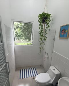 Un baño con inodoro y una planta en maceta. en Family Stay con Desayuno 7 camas 6 dormitorios, en Puyo