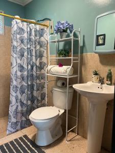 un baño con inodoro y lavabo en Family Stay con Desayuno 7 camas 6 dormitorios, en Puyo