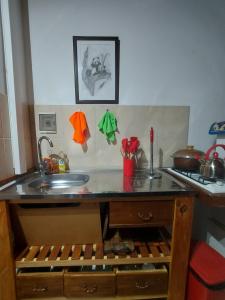 una cucina con un lavello e un piano di lavoro di Brisa Costera a Carmen de Patagones