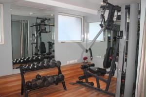 O centro de fitness e/ou as comodidades de fitness de The Theme, Jaipur