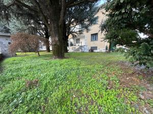 ein Baum in einem Hof neben einem Haus in der Unterkunft La Grande Casa di Malpensa - B&B in Gallarate