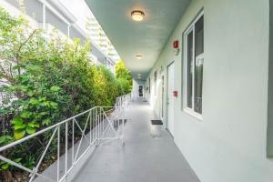 een lege gang van een gebouw met planten bij Boutique Apartments Flamingo in Miami Beach